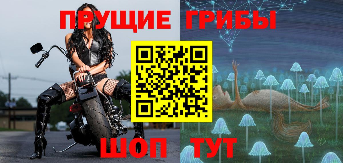 Псилоцибиновые грибы Cubensis Валуйки