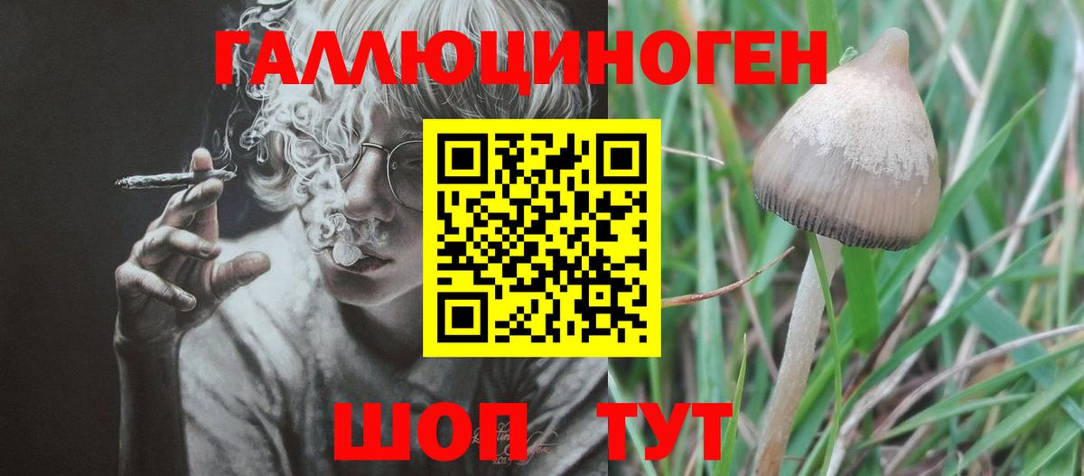 Псилоцибиновые грибы мицелий  Вход с VPN  Валуйки  Псилоцибиновые грибы ЛСД 